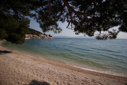 IMG 3954