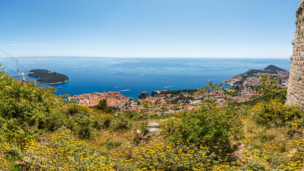IMG 4451-Panorama