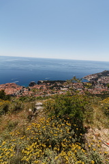 IMG 4452