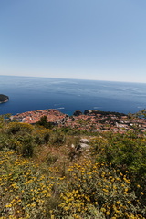 IMG 4453