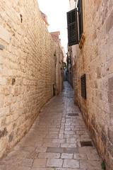 IMG 4495