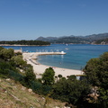 IMG 4511
