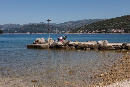 IMG 4529