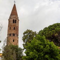 IMG 4953